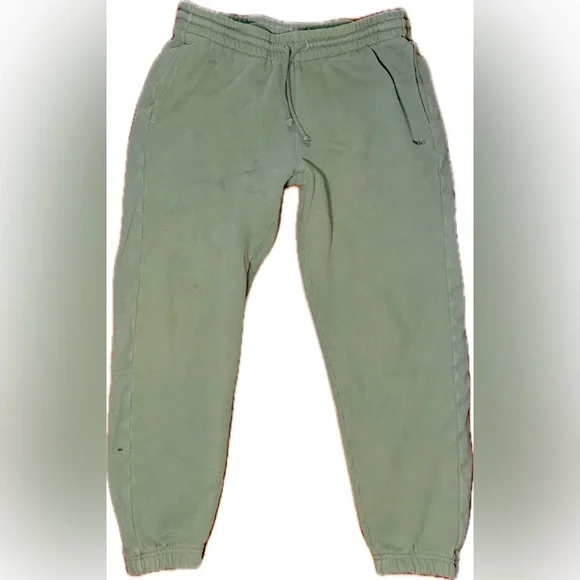 TNA Aritzia Cozy Sweatfleece Sage Green Sweatpants Joggers Boyfriend Fit L - Picture 1 of 7